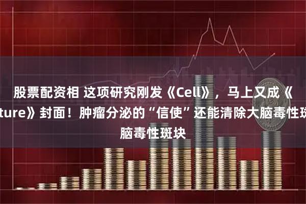 股票配资相 这项研究刚发《Cell》，马上又成《Nature》封面！肿瘤分泌的“信使”还能清除大脑毒性斑块
